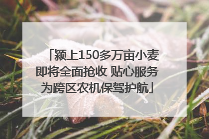 颍上150多万亩小麦即将全面抢收 贴心服务为跨区农机保驾护航