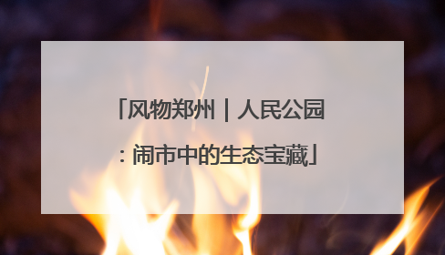 风物郑州｜人民公园：闹市中的生态宝藏