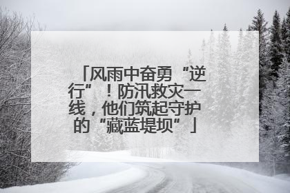 风雨中奋勇“逆行”！防汛救灾一线，他们筑起守护的“藏蓝堤坝”