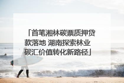 首笔湘林碳票质押贷款落地 湖南探索林业碳汇价值转化新路径