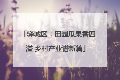 驿城区：田园瓜果香四溢 乡村产业谱新篇