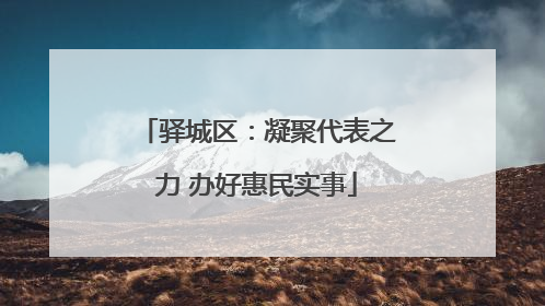 驿城区：凝聚代表之力 办好惠民实事