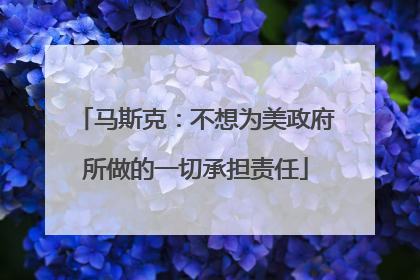 马斯克：不想为美政府所做的一切承担责任