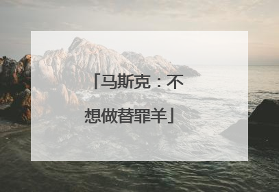 马斯克：不想做替罪羊