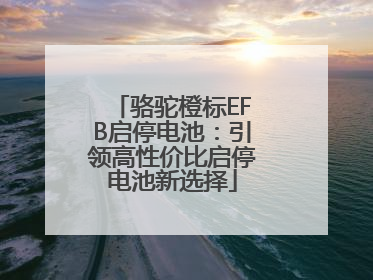 骆驼橙标EFB启停电池：引领高性价比启停电池新选择