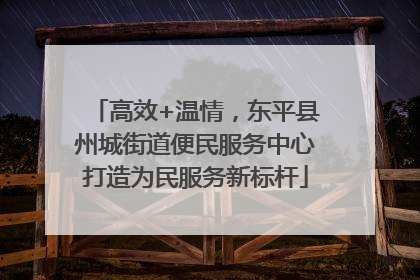 高效+温情，东平县州城街道便民服务中心打造为民服务新标杆