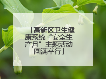 高新区卫生健康系统“安全生产月”主题活动圆满举行