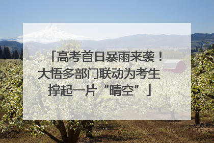 高考首日暴雨来袭！大悟多部门联动为考生撑起一片“晴空”