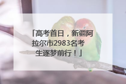 高考首日，新疆阿拉尔市2983名考生逐梦前行！