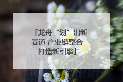 龙舟“划”出新赛道 产业链整合打造新引擎
