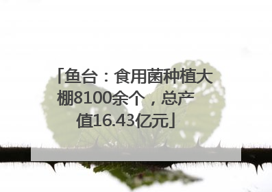 鱼台：食用菌种植大棚8100余个，总产值16.43亿元