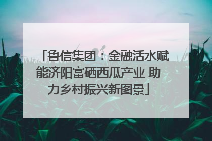 鲁信集团：金融活水赋能济阳富硒西瓜产业 助力乡村振兴新图景