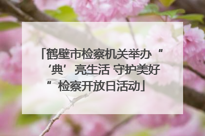 鹤壁市检察机关举办“‘典’亮生活 守护美好”检察开放日活动