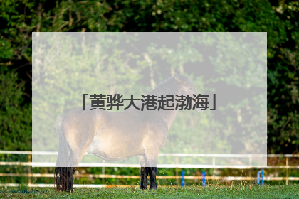 黄骅大港起渤海