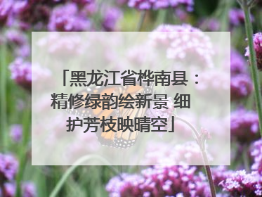 黑龙江省桦南县：精修绿韵绘新景 细护芳枝映晴空