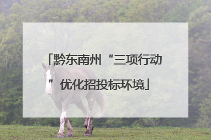 黔东南州“三项行动”优化招投标环境