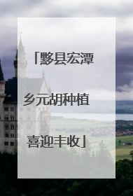黟县宏潭乡元胡种植喜迎丰收
