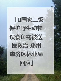 ﻿国家二级保护野生动物误食鱼钩被送医救治 郑州惠济区林业局回应