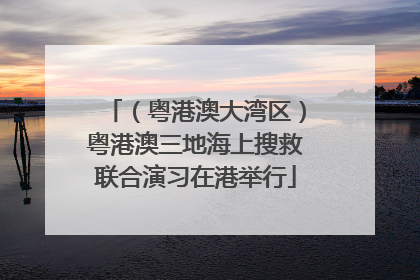 （粤港澳大湾区）粤港澳三地海上搜救联合演习在港举行