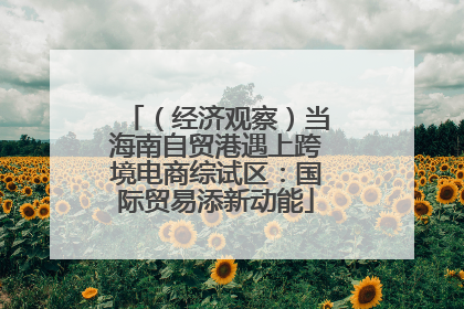 （经济观察）当海南自贸港遇上跨境电商综试区：国际贸易添新动能