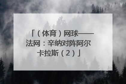 （体育）网球——法网：辛纳对阵阿尔卡拉斯（2）