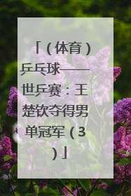 (体育)乒乓球——世乒赛:王楚钦夺得男单冠军(3)
