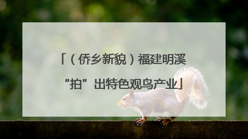 （侨乡新貌）福建明溪“拍”出特色观鸟产业