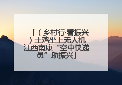 （乡村行·看振兴）土鸡坐上无人机 江西南康“空中快递员”助振兴