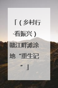 （乡村行·看振兴）赣江畔滩涂地“重生记”