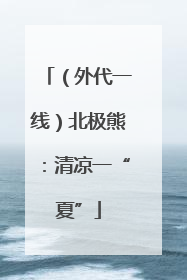 （外代一线）北极熊：清凉一“夏”