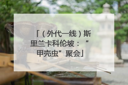 （外代一线）斯里兰卡科伦坡：“甲壳虫”聚会