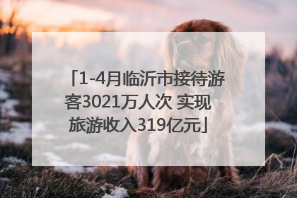 1-4月临沂市接待游客3021万人次 实现旅游收入319亿元
