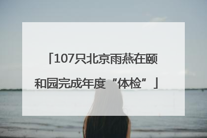 107只北京雨燕在颐和园完成年度“体检”