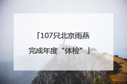 107只北京雨燕完成年度“体检”