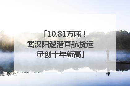10.81万吨！武汉阳逻港直航货运量创十年新高
