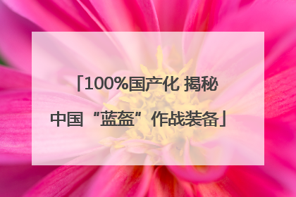 100%国产化 揭秘中国“蓝盔”作战装备