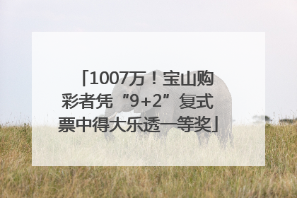 1007万！宝山购彩者凭“9+2”复式票中得大乐透一等奖