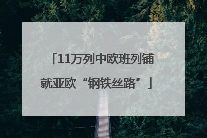 11万列中欧班列铺就亚欧“钢铁丝路”