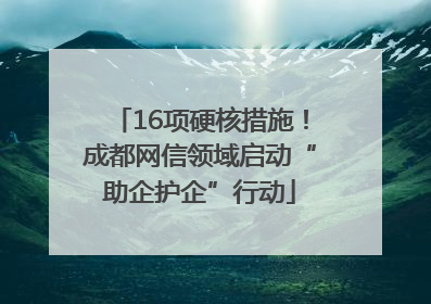 16项硬核措施！成都网信领域启动“助企护企”行动