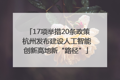 17项举措20条政策 杭州发布建设人工智能创新高地新“路径”
