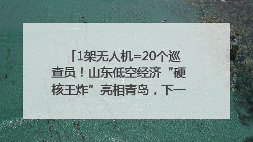1架无人机=20个巡查员！山东低空经济“硬核王炸”亮相青岛，下一个万亿赛道藏在这里