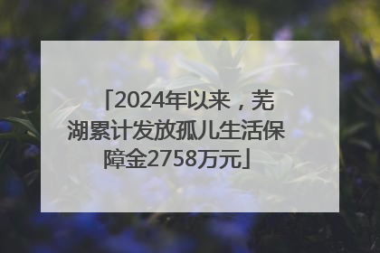 2024年以来，芜湖累计发放孤儿生活保障金2758万元