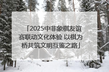 2025中非象棋友谊赛联动文化体验 以棋为桥共筑文明互鉴之路