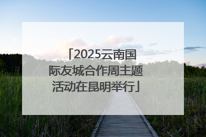 2025云南国际友城合作周主题活动在昆明举行