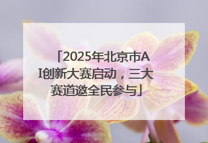 2025年北京市AI创新大赛启动，三大赛道邀全民参与