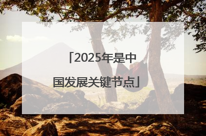 2025年是中国发展关键节点