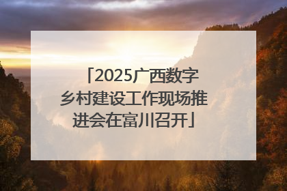 2025广西数字乡村建设工作现场推进会在富川召开