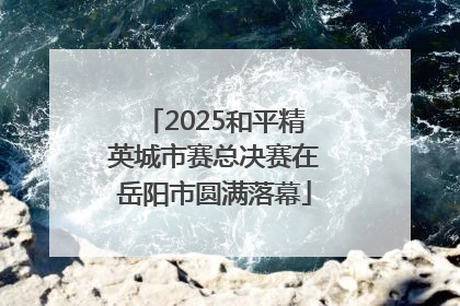 2025和平精英城市赛总决赛在岳阳市圆满落幕