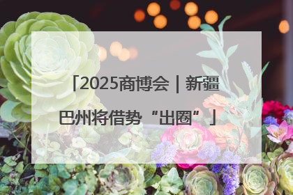 2025商博会｜新疆巴州将借势“出圈”