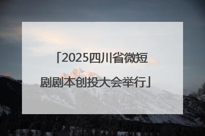 2025四川省微短剧剧本创投大会举行